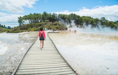 Rotorua Highlights including Wai-O-Tapu – Small Group Tour from Auckland